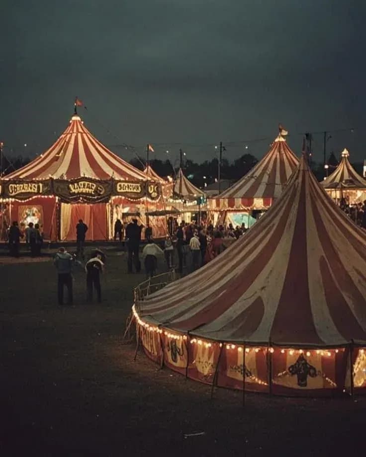 Le cirque des merveilles !
