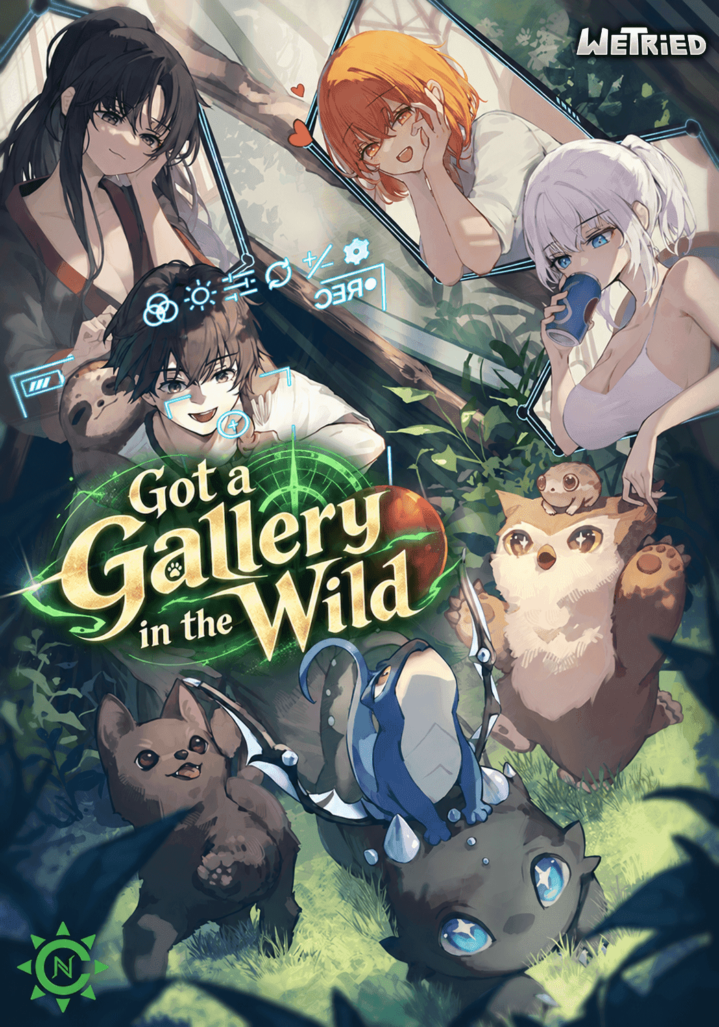 Got a Gallery in the Wild